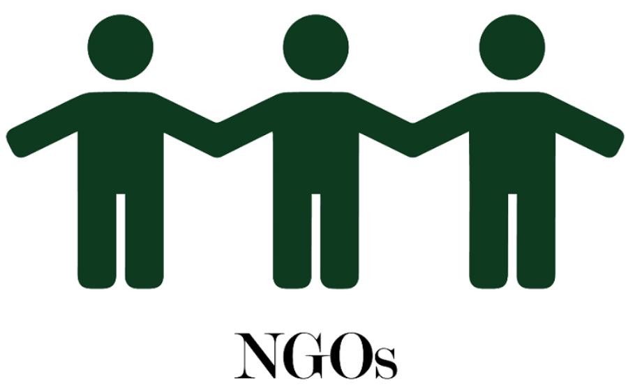 Non posso. Non governmental Organization. Ngo. Governmental Organizations. Ngo examples.